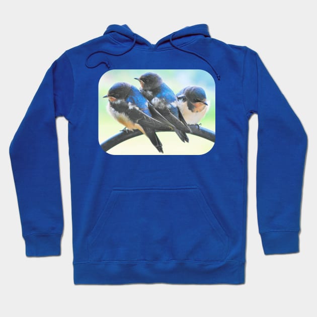 Swallows-8 Rd Hoodie by MaryLinH